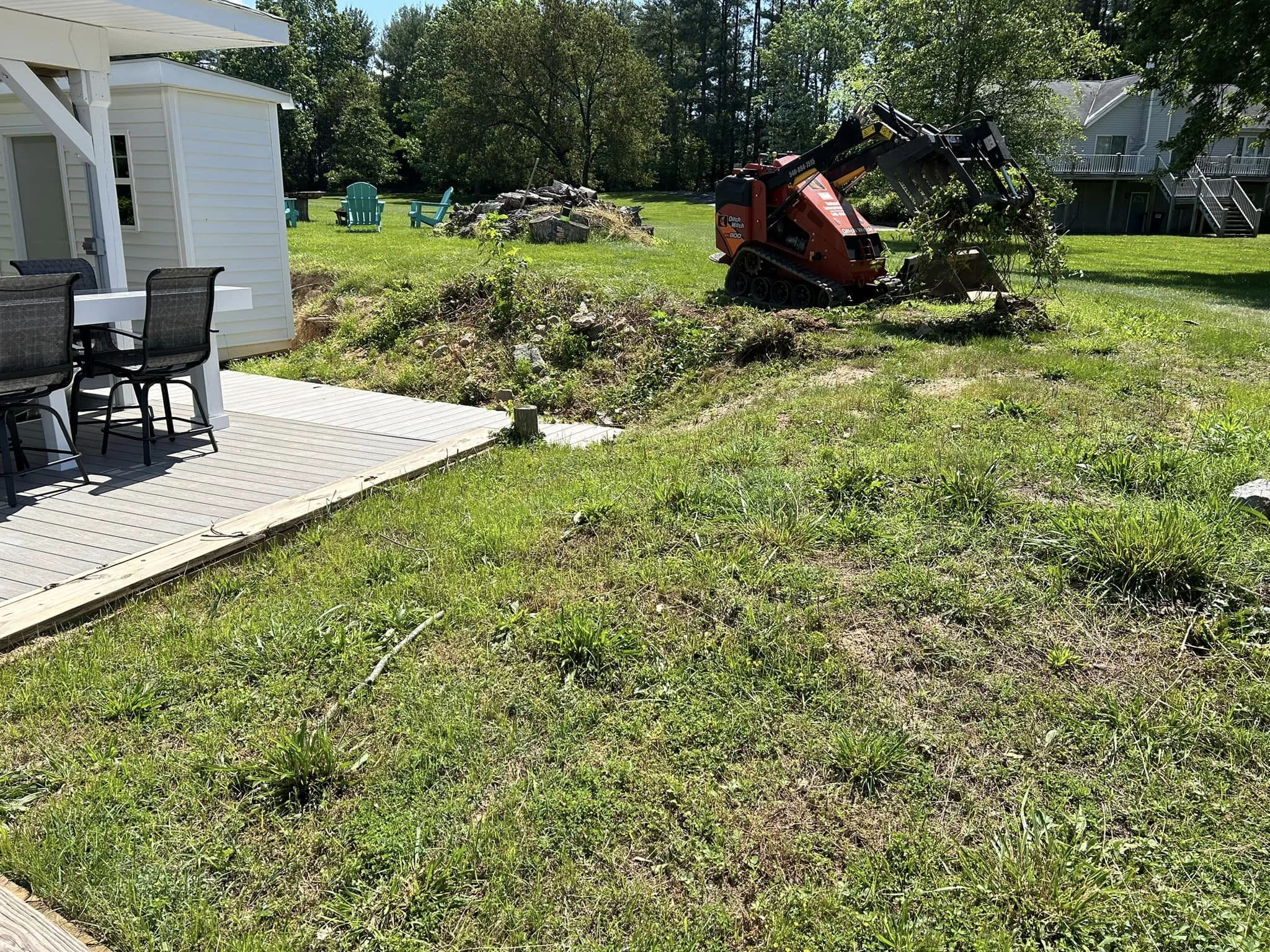Overgrown garden before landscaping work